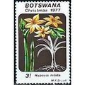 Botswana 1977 Xmas Lilies 3t Hypoxis nitida Unm...