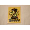 Deanna Calkins STREET SERPENT 1977 Donruss Skat...