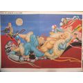 The Playboy Gallery-Olivia print and nude