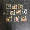 2004 - Woodland Animals - 1st - full set