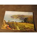 1940s Postcard - Babbacombe Down, Torquay - Dev...