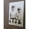 Beagles Real photo Postcard - Princess Mary's S...