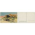 Postcard circa 1920s Wilhelm Kuhnert. Prey of s...