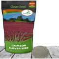 Outsidepride Crimson Clover Seeds - 10 Lbs. Ann...