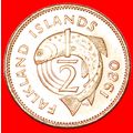 Ⰶ FISH (1974-1983): FALKLAND ISLANDS ★ 1/2 PENN...