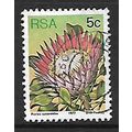 SOUTH AFRICA 1977 SUCCULENTS 5c P CYNAROIDES SG...