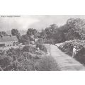 Picking Flowers in 1904 at Kings Langley Common...