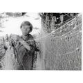 TJ 29 7020548: Tove Jansson
