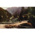 Aberglaslyn Pass, Wales, Photochrom Exclusive C...