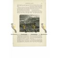 Tynemouth Priory Ruins, Northumberland, Book Il...
