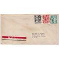 AIR MAIL etiquette on cover Panagra - Peru to USA