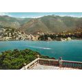 Rapallo Italy Postcard posted VGC