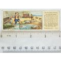 1935 Typhoo Swiss Family Robinson No. 14 Jack s...