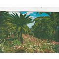 Funchal Jardim Tropical Madeira Portugal Postca...