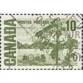 CANADA, Jack Pine by Thomas John Thomson, green...