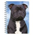 Staffordshire Bull Terrier notebooks, amazing 3...