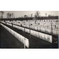 Somme Peronne Published French Military Graveya...
