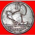 GREAT BRITAIN (1928-1937): IRELAND ★ 1 PENNY 19...