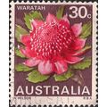 AUSTRALIA, FLOWERS, Waratah, brown 1968, 30c