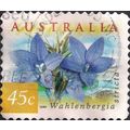 AUSTRALIA, FLOWERS, Wahlenbergia stricta, yello...