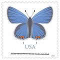 Eastern Tailed Blue Non Machineable Surcharge P...