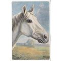 Horse Artist Signed Paul Thomas 1905 Oilette Ar...