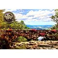 See Rock City Stone Bridge Postcard