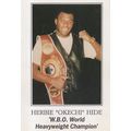 Herbie Hide of Norwich WBO World Boxing Champio...