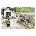 ptc8299 - Derbys' - Hope Railway Station Garden...