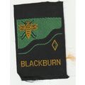 Scout Badge UK - Darwin - Ribbon (BY218)