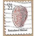 Reticulated Cowrie-Helmet 12420