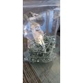Woodscrews 8x2" csk pozi bzp (Pkt 200)