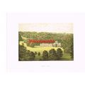 MILTON ABBEY, Nr BLANDFORD, DORSET, (HAMBRO, BA...