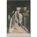 Rue de Chameau, Alger, c.1910 - AF CPA