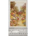 vintage postcard The Flower Walk, Sheen Palace
