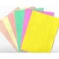 5"x7" Embossed Card. 10 Sheets. Floral (27). Ca...