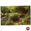 WATERSMEET NEAR LYNMOUTH DEVON POSTCARD M0050