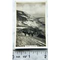 1938 Senior Service Our Countryside 45 Hikers' ...