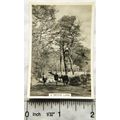 1938 Senior Service Our Countryside 48 A Devon ...