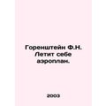 F.N. Gorenstein flies himself an aeroplane. In ...