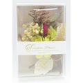 Timeless Posies Small Preserved Flowers 10 CM B...