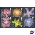 2004 Royal Hort Society Set SG2456-61 Very Fine...