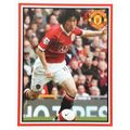 JI-SUNG PARK - Panini Manchester United 2007 NO...