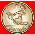 Ⰶ GREAT BRITAIN (1940-1968): IRELAND ★ 1 PENNY ...