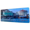 Catalina Island Boat Docks 3D Fridge Magnet