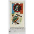 1933 Player's Boy Scout & Girl Guide Patrol Sig...