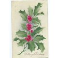 greetings postcard xmas posted 1904 holly german