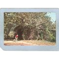 GA Carnesville Covered Bridge Postcard Cromer's...
