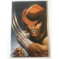 2023 Marvel Comics Wolverine Scott Williams Vir...