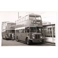 Black & White Photograph of Manchester Corporat...